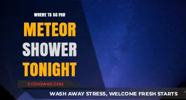 Best Spots to Watch Tonight's Meteor Shower: A Stargazer's Guide