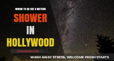 Best Hollywood Spots to Watch Meteor Showers Under City Lights