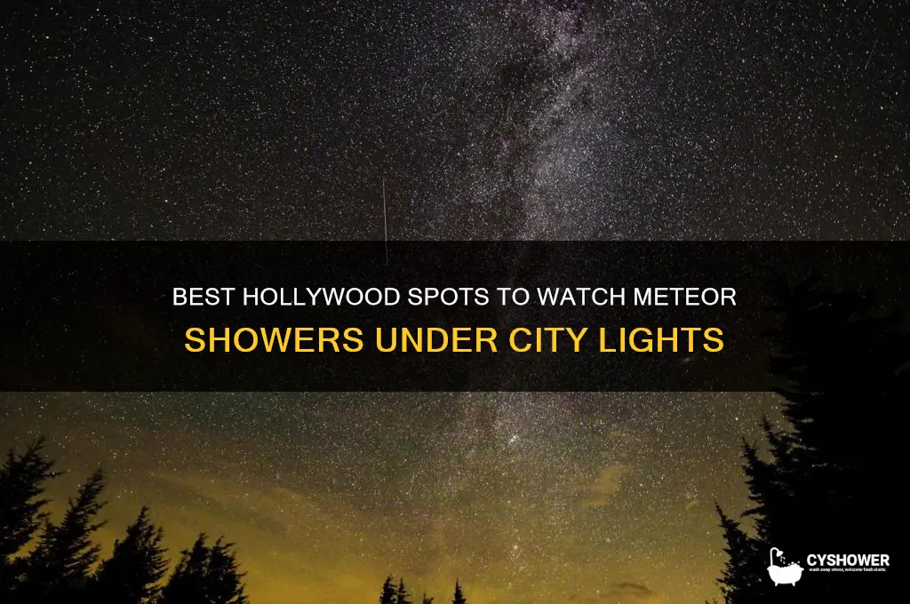 where to go see a meteor shower in hollywood