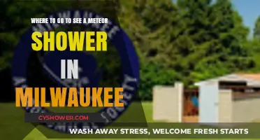Best Milwaukee Spots for Stunning Meteor Shower Viewing Experiences