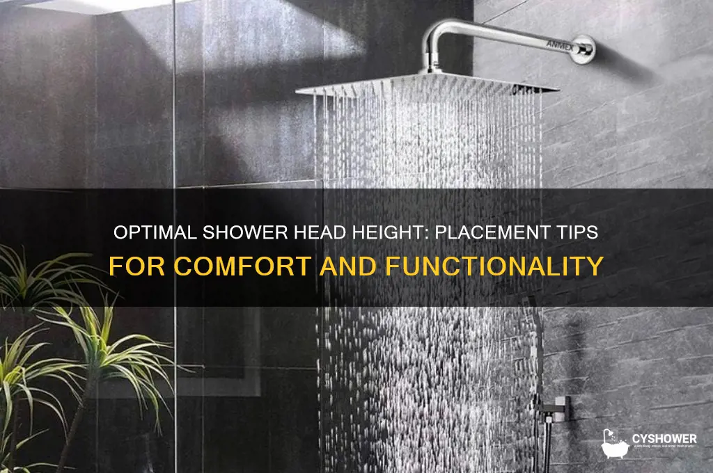 where to hand a shower head