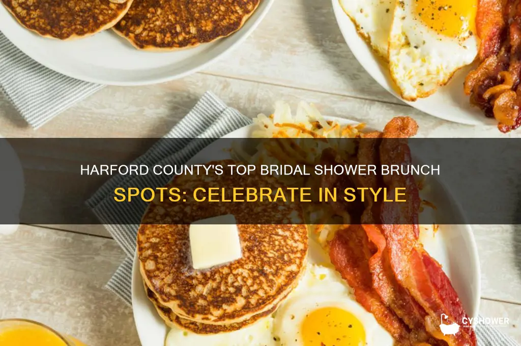 where to have a bridal shower brunch in harford county