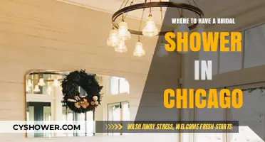 Chicago's Top Bridal Shower Venues: Celebrate in Style and Elegance