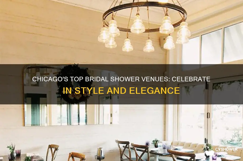 where to have a bridal shower in chicago