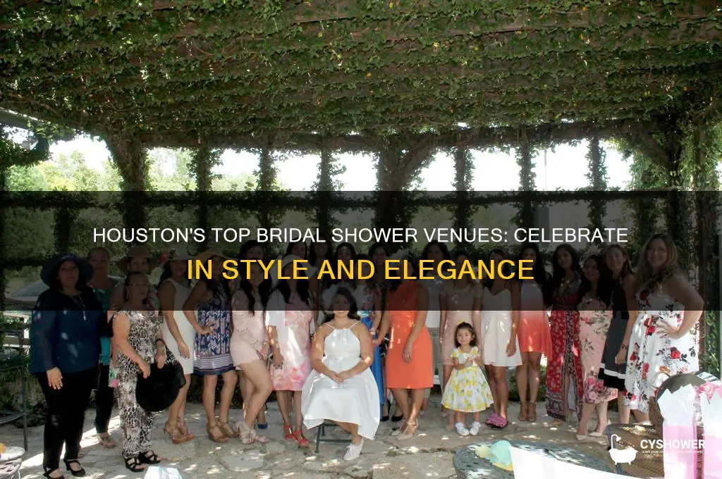 where to have a bridal shower in houston