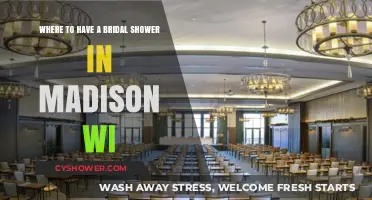 Top Bridal Shower Venues in Madison, WI: Celebrate in Style