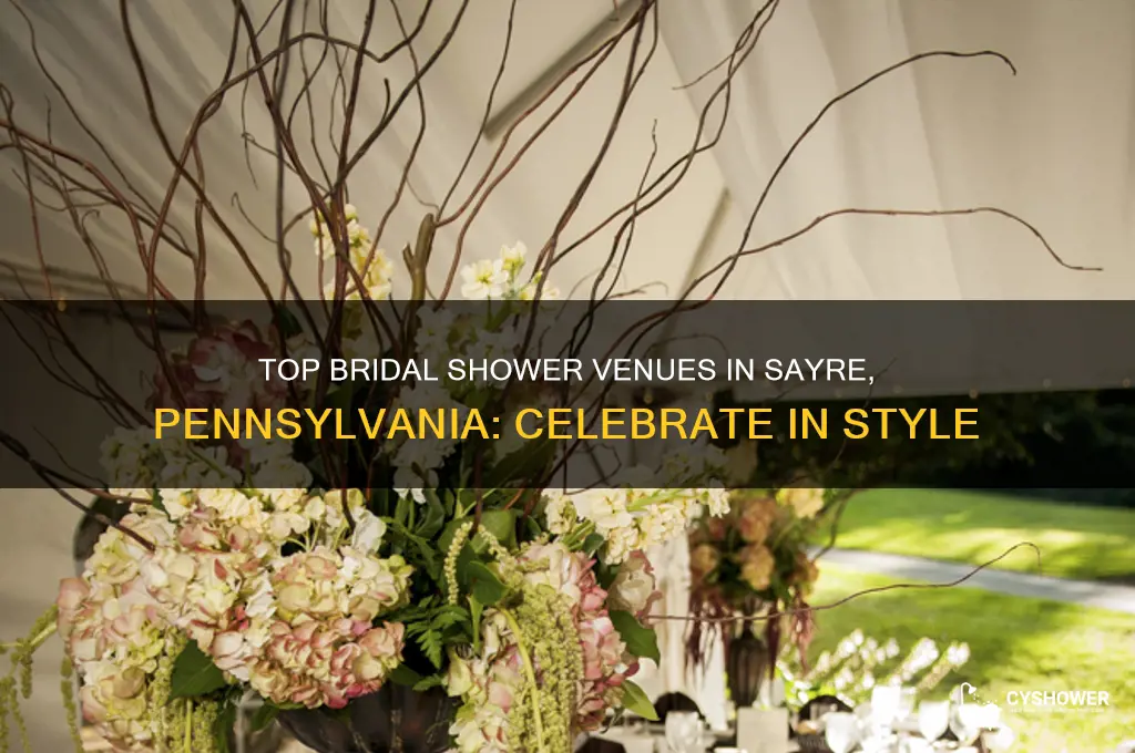 where to have a bridal shower in sayre pennsylvania