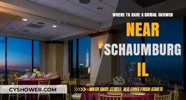 Top Bridal Shower Venues Near Schaumburg, IL: Celebrate in Style