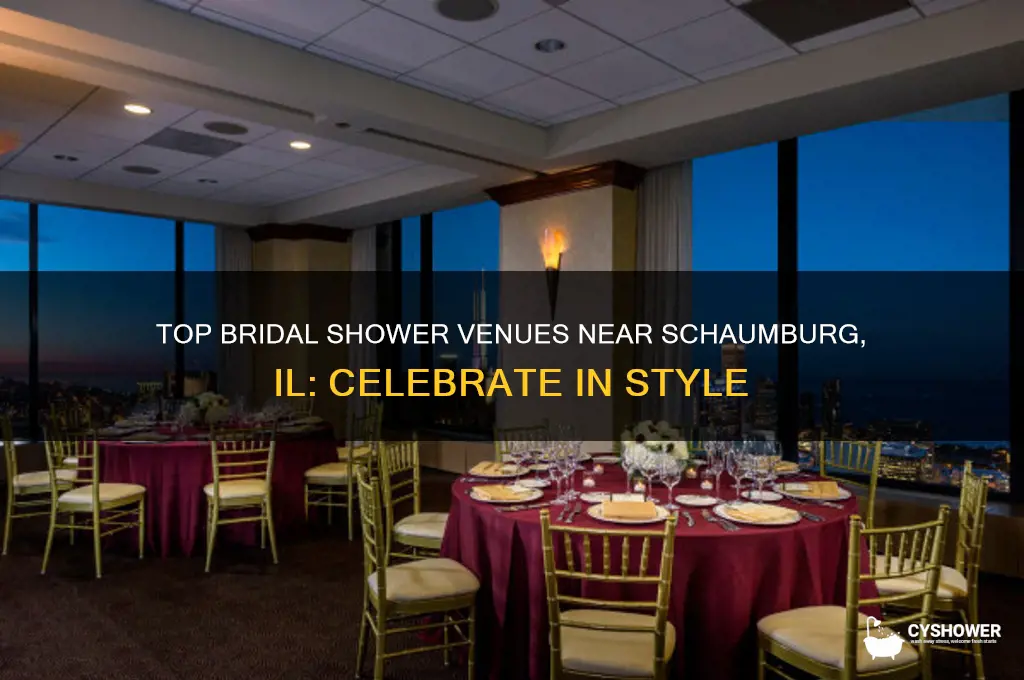 where to have a bridal shower near schaumburg il