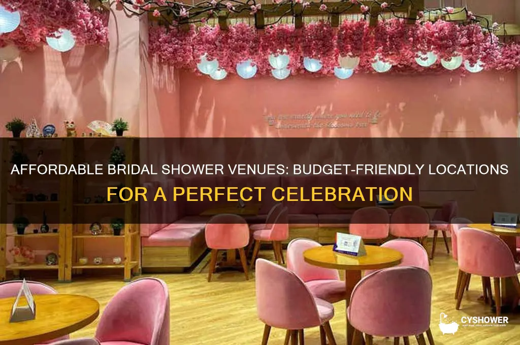 where to have a bridal shower on a budget