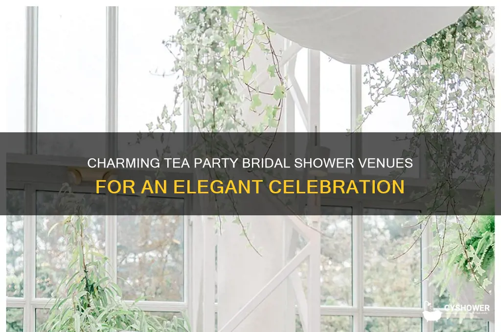 where to have a tea party bridal shower
