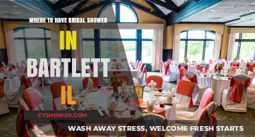 Top Bridal Shower Venues in Bartlett, IL: Celebrate in Style