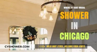 Chicago's Top Bridal Shower Venues: Unique & Memorable Celebration Spots