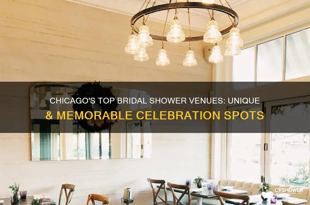 where to have bridal shower in chicago