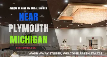 Top Bridal Shower Venues Near Plymouth, Michigan: Celebrate in Style