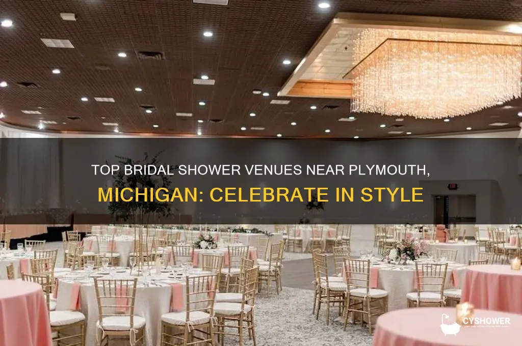 where to have my bridal shower near plymouth michigan