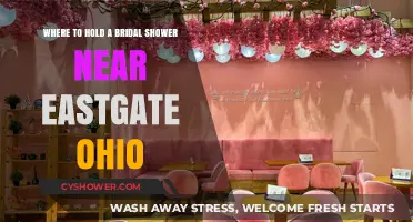 Top Bridal Shower Venues Near Eastgate, Ohio: Celebrate in Style