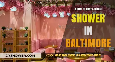 Baltimore's Best Bridal Shower Venues: Unique Spots to Celebrate