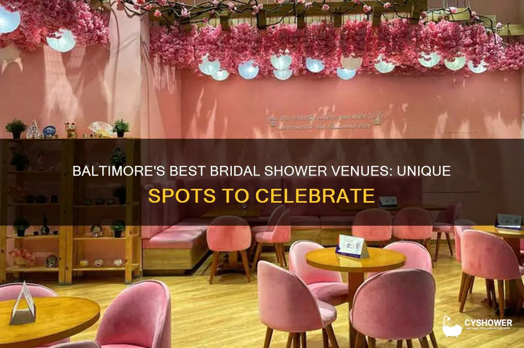 where to host a bridal shower in baltimore