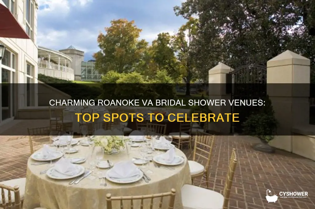 where to host a bridal shower in roanoke va
