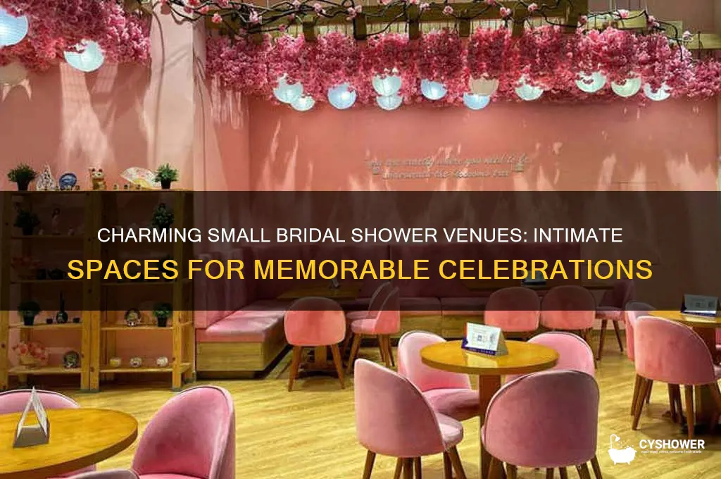 where to host a small bridal shower