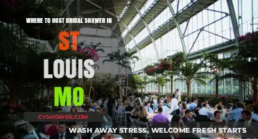 Top Bridal Shower Venues in St. Louis, MO: A Guide