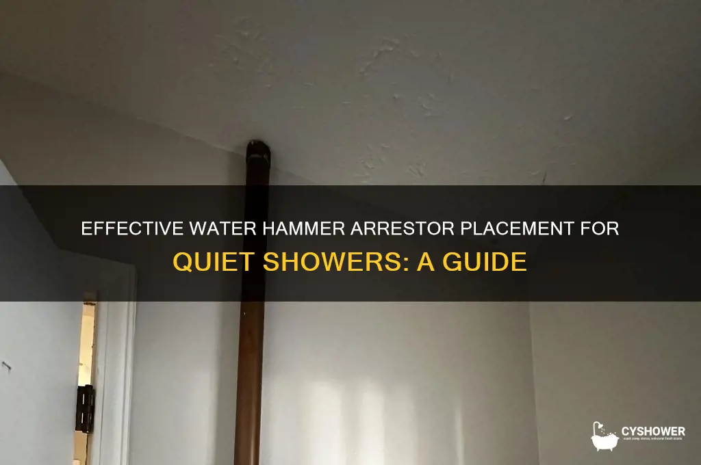 where to install water hammer arrestor in shower