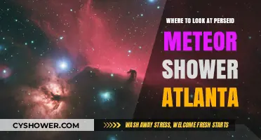 Best Spots in Atlanta to Watch the Perseid Meteor Shower