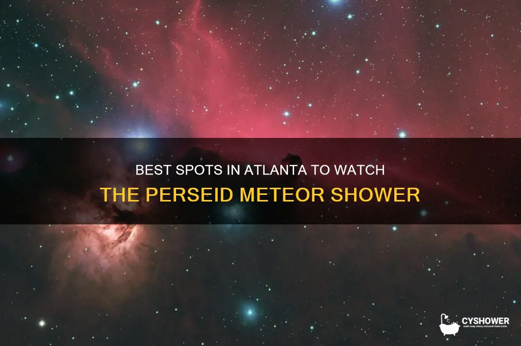 where to look at perseid meteor shower atlanta