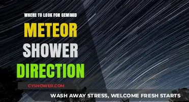 Geminid Meteor Shower Guide: Best Viewing Direction and Tips