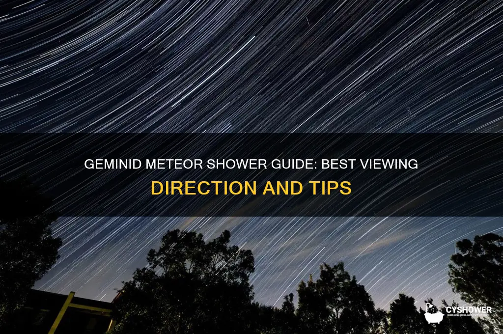 where to look for geminid meteor shower direction