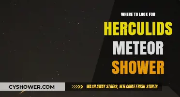 Best Viewing Spots for the Herculids Meteor Shower This Year