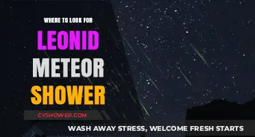 Best Viewing Spots for the Leonid Meteor Shower This Year