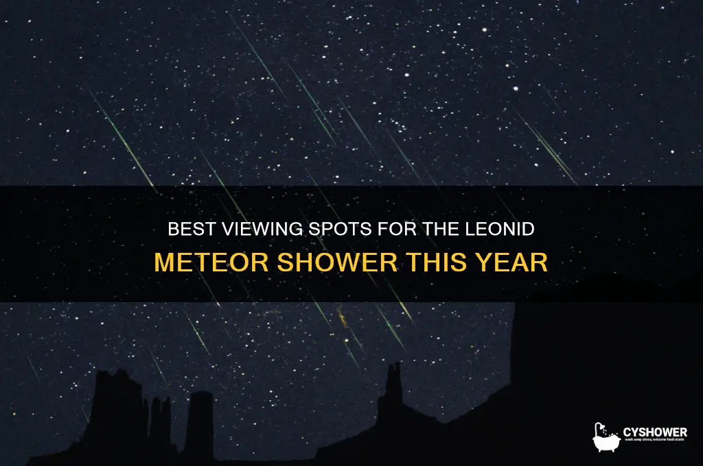 where to look for leonid meteor shower