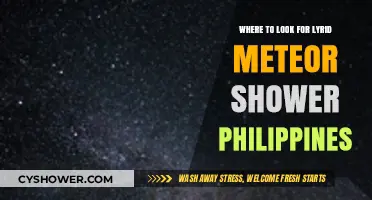 Best Viewing Spots for Lyrid Meteor Shower in the Philippines