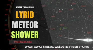 Best Viewing Spots for the Lyrid Meteor Shower This Year