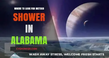 Alabama's Best Meteor Shower Viewing Spots: A Stargazer's Guide