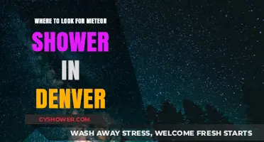 Denver's Best Meteor Shower Viewing Spots: A Stargazer's Guide