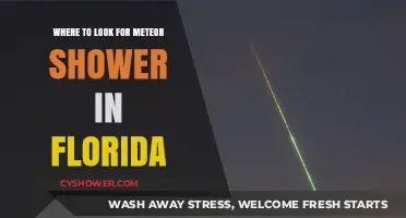 Best Spots to Watch Meteor Showers in Florida's Night Sky