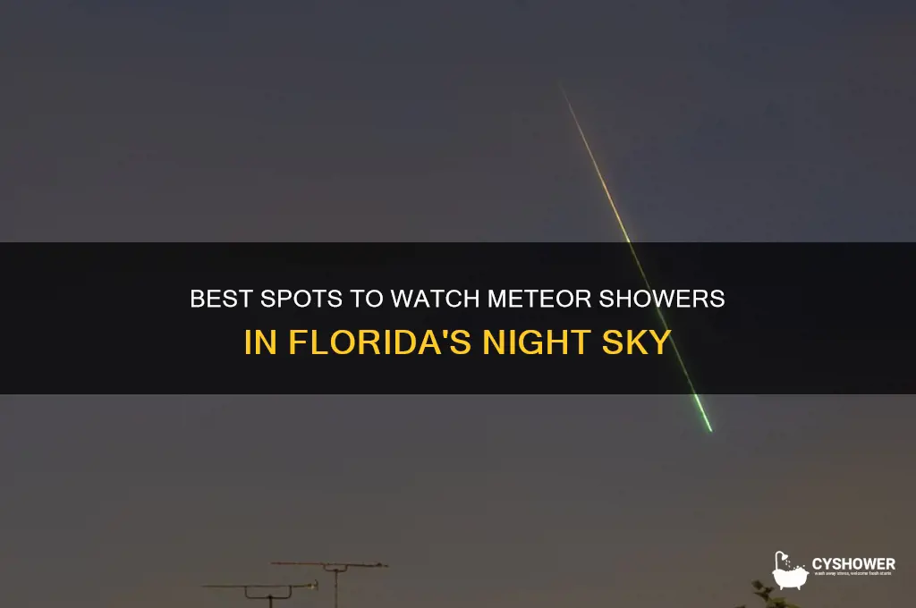 where to look for meteor shower in florida