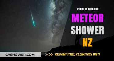 Best Meteor Shower Viewing Spots in New Zealand: A Stargazer's Guide