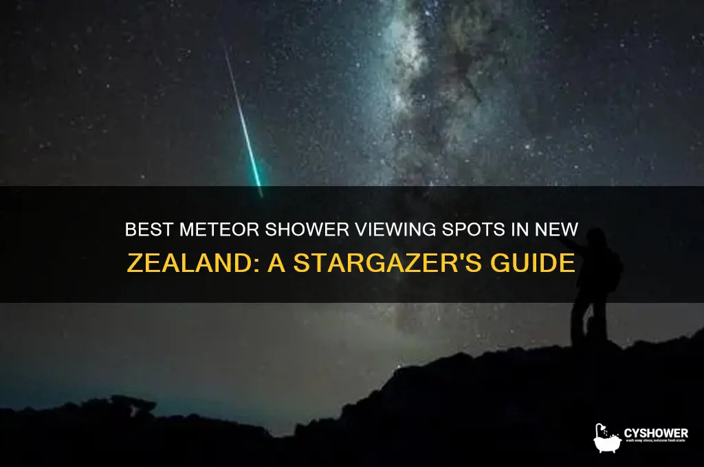 where to look for meteor shower nz