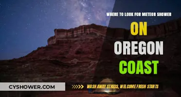 Oregon Coast Meteor Shower Guide: Best Viewing Spots & Tips