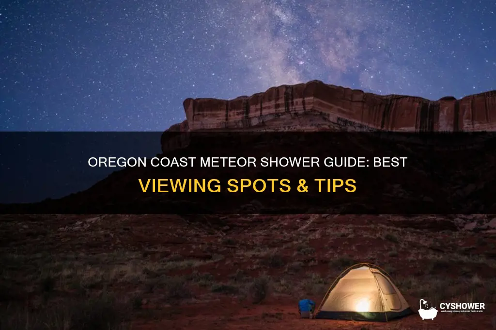 where to look for meteor shower on oregon coast