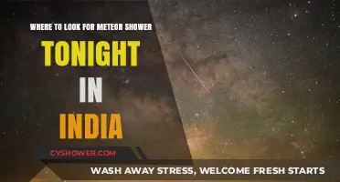Best Spots in India to Watch Tonight's Meteor Shower