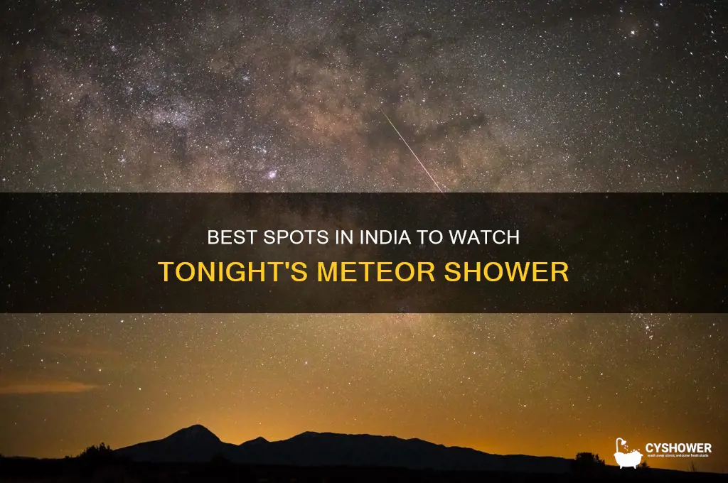 where to look for meteor shower tonight in india