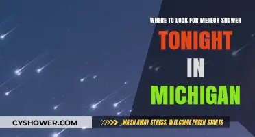 Best Michigan Spots to Watch Tonight's Meteor Shower: A Guide