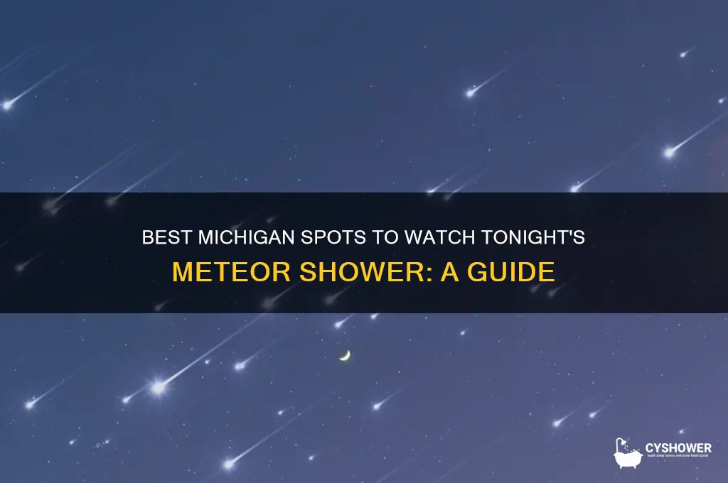 where to look for meteor shower tonight in michigan