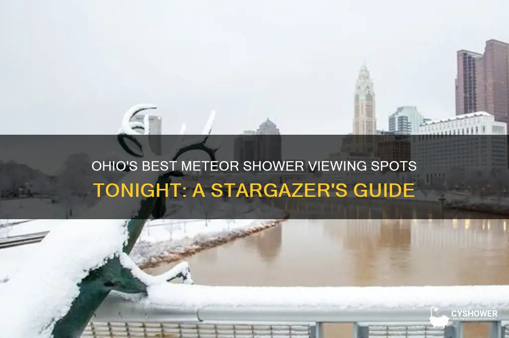 where to look for meteor shower tonight in ohio