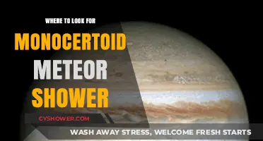 Best Viewing Spots for the Monocerotid Meteor Shower This Year